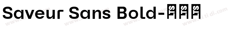 Saveur Sans Bold字体转换
